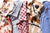 NOAH - Spring Shirting - Cover