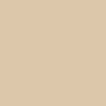 Noah - Twill Shorts - Sand - Swatch